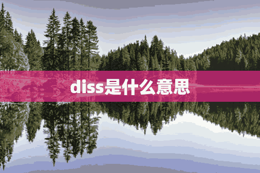 diss是什么意思(diss是什么意思网络用语)